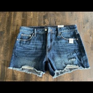 Womens Denim Shorts NWOT